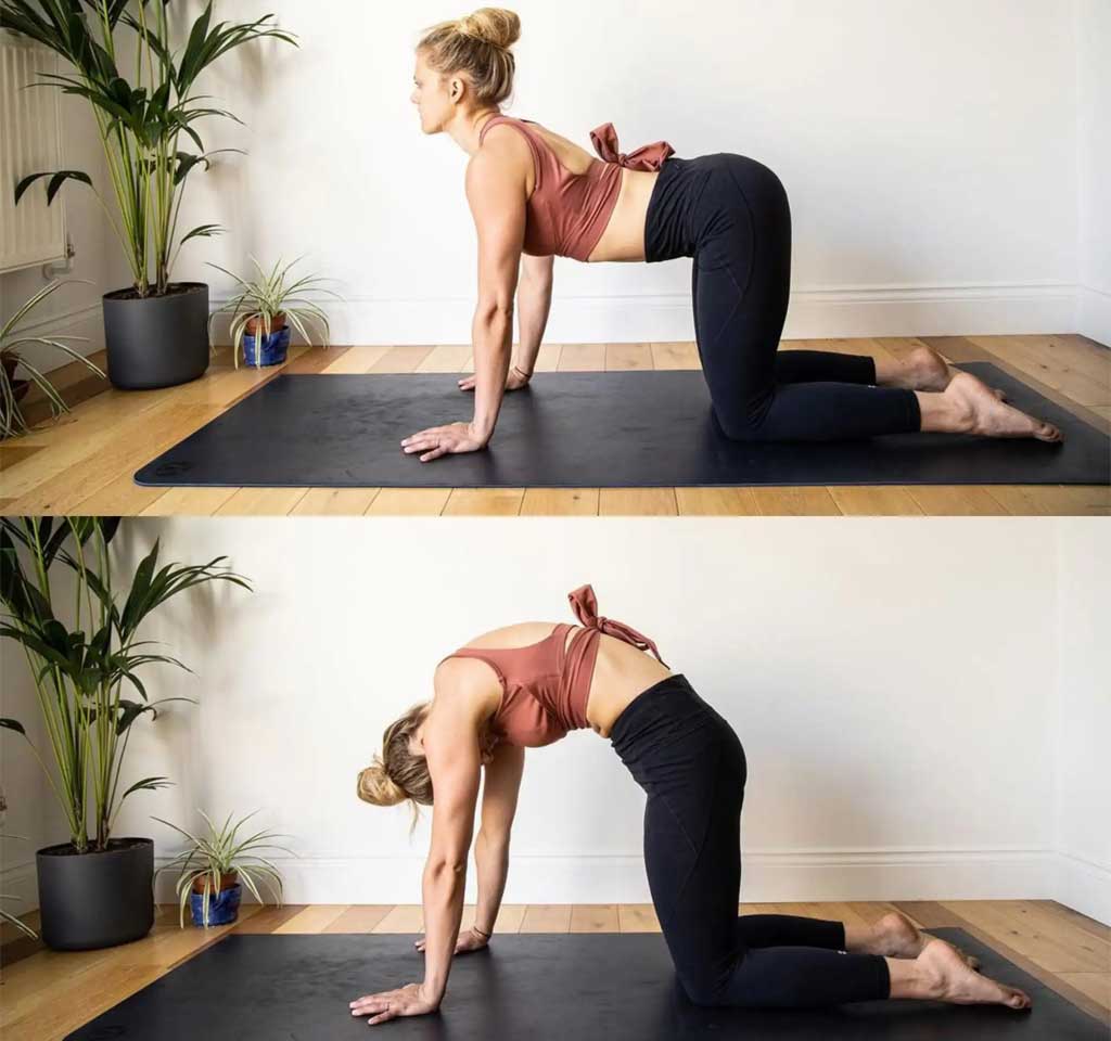 Cat-Cow Pose (Marjaryasana-Bitilasana)