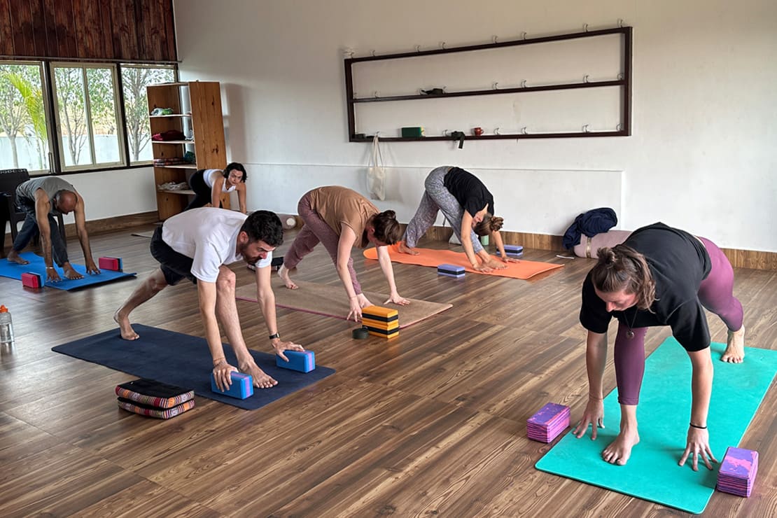 benefits of 200 hours yoga teacher training in rishikesh india Benefits of 200 Hours Yoga Teacher Training in Rishikesh, India