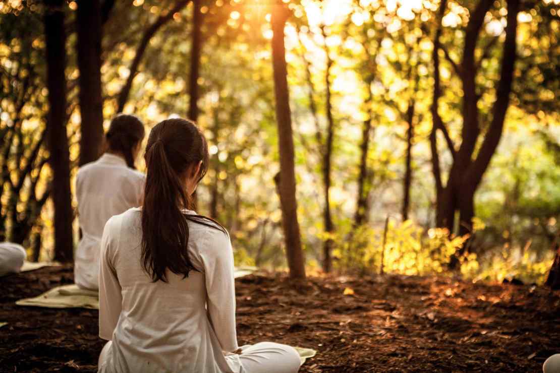 The Role of Asana and Meditation The Role of Asana and Meditation