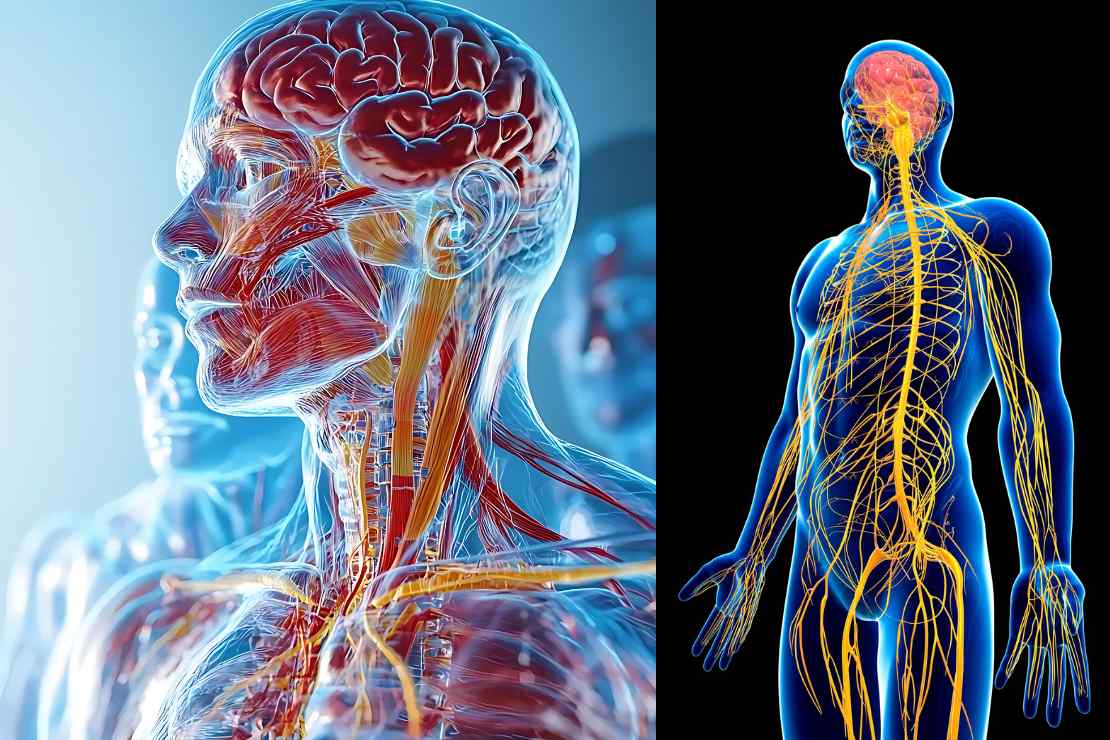 How to Apply the 333 Rule to Relieve Anxiety and Soothe Your Mind