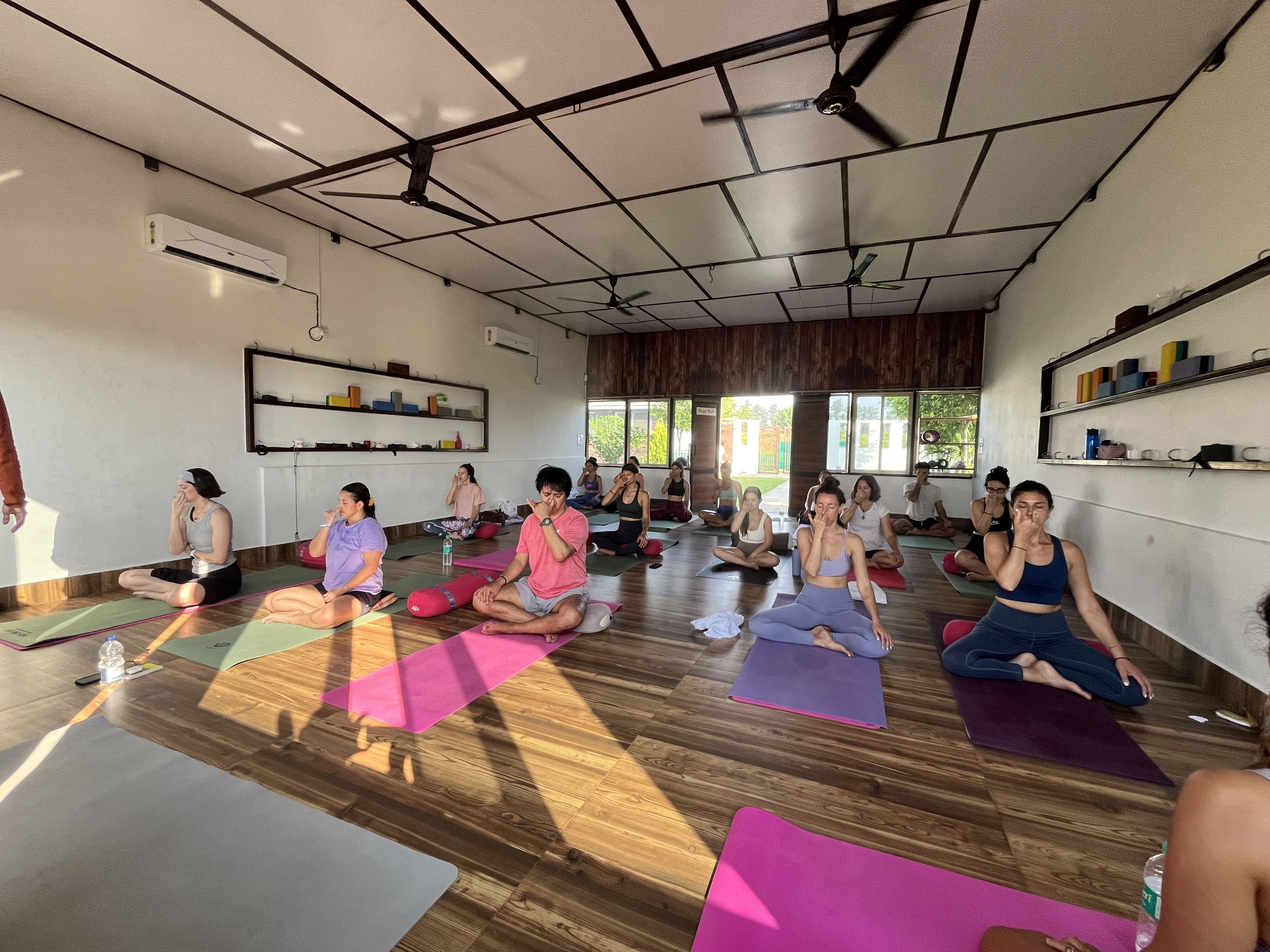 Asana Asana